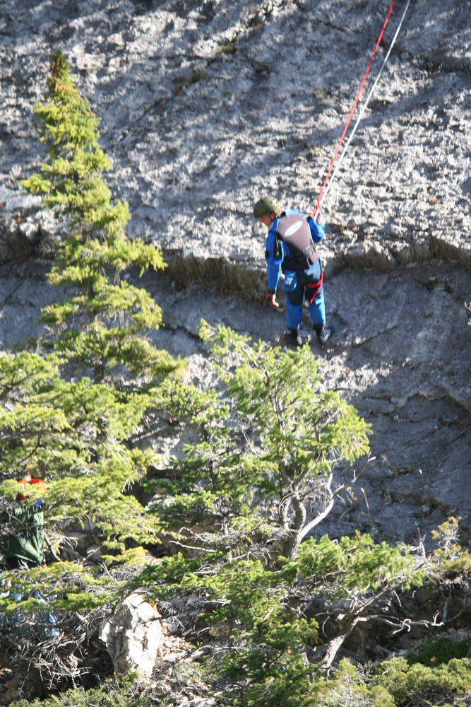 person looking down into the trees, wearing repelling gear